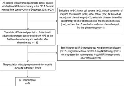 S-1 Maintenance Therapy After First-Line Treatment With Nab-Paclitaxel Plus S-1 for Advanced Pancreatic Adenocarcinoma: A Real-World Study